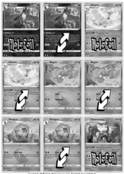 SWSH07 - Sword and Shield - Evolving Skies Master Set Tracker (Includes Grayscale Card Placeholders + Holofoil and Reverse Indicators) Digital Download
