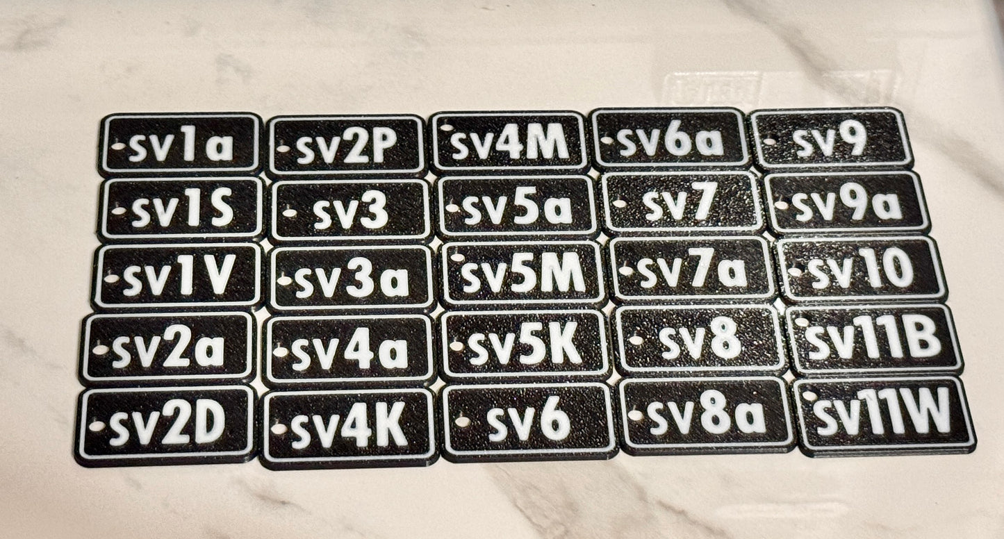 3D Printed Pokémon TCG Japanese Scarlet & Violet Expansion Binder Tags – Keychain Beads, Deck Symbol Organizer